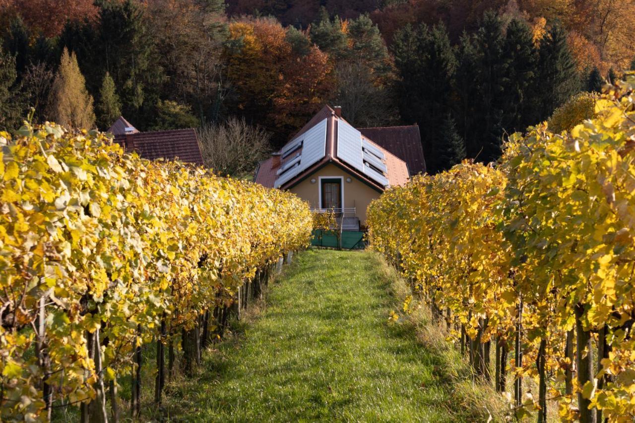 Weinberghaus Am Burgstallkogel Leibnitz Eksteriør bilde
